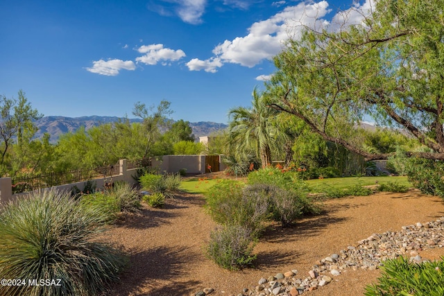 view of yard featuring a mountain view