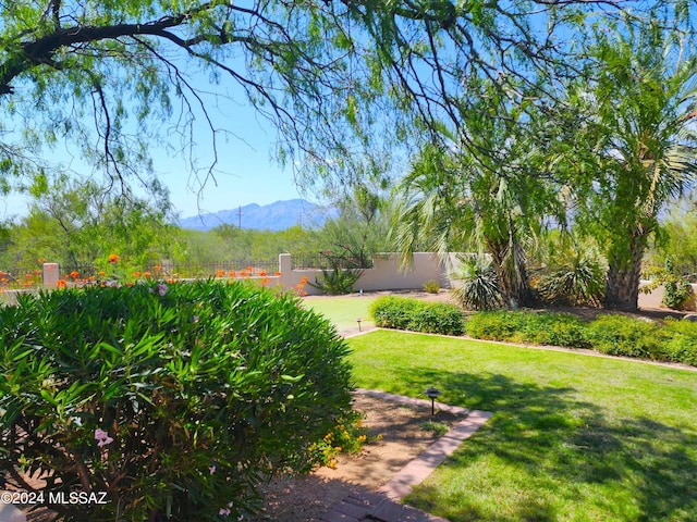 view of yard featuring a mountain view