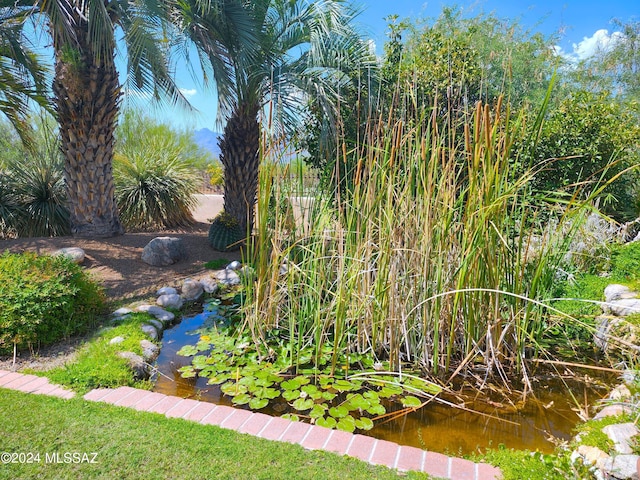 view of yard with a small pond