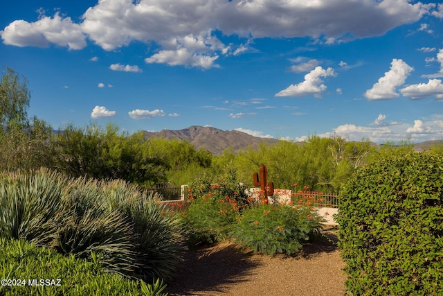 property view of mountains