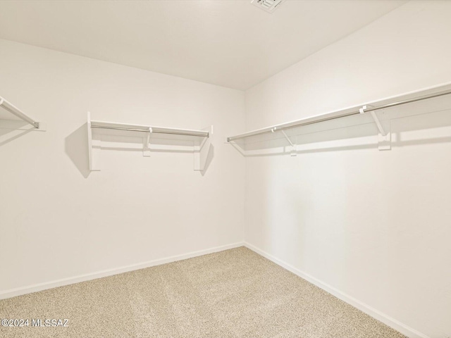 spacious closet with carpet floors