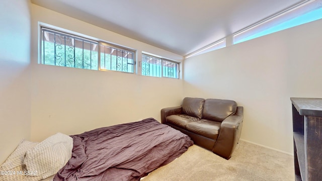 living area with light colored carpet and lofted ceiling