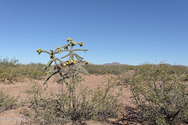 Listing photo 2 for TBD W Agua Blanca Rd Unit 1, Elfrida AZ 85610