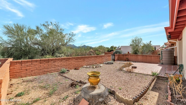 view of yard featuring a patio