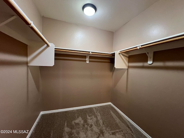 spacious closet featuring carpet flooring