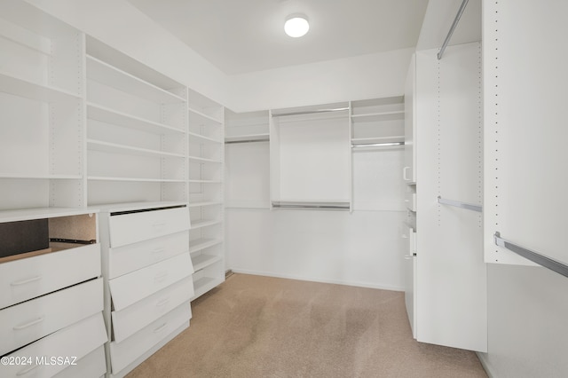 spacious closet featuring light colored carpet