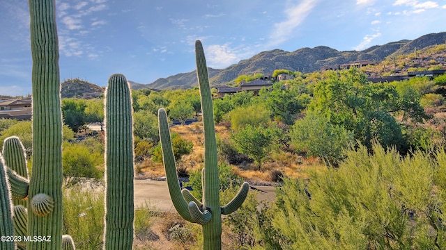 1906 W Mountain Mirage Pl Unit 161, Oro Valley AZ, 85755 land for sale