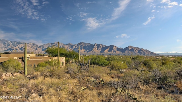 Listing photo 3 for 1906 W Mountain Mirage Pl Unit 161, Oro Valley AZ 85755