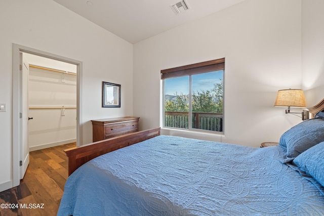 bedroom featuring a walk in closet, a closet, and wood-type flooring