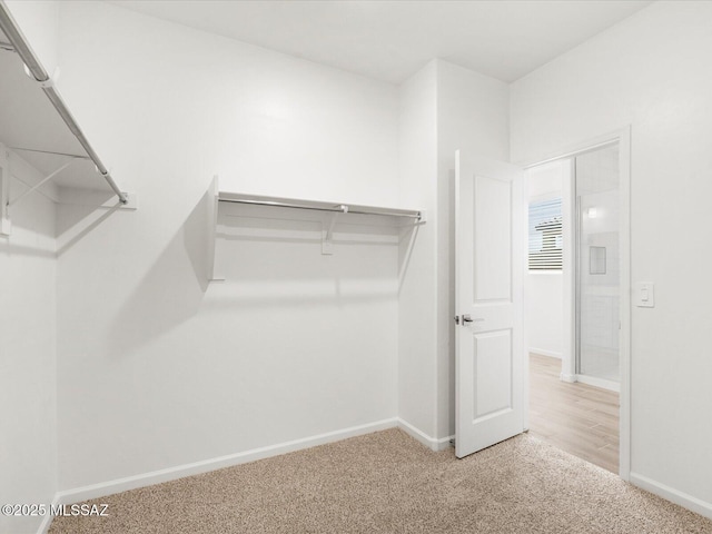 350 N Pecan Canyon Ln, Sahuarita, AZ 85629 - walk in closet featuring carpet flooring
