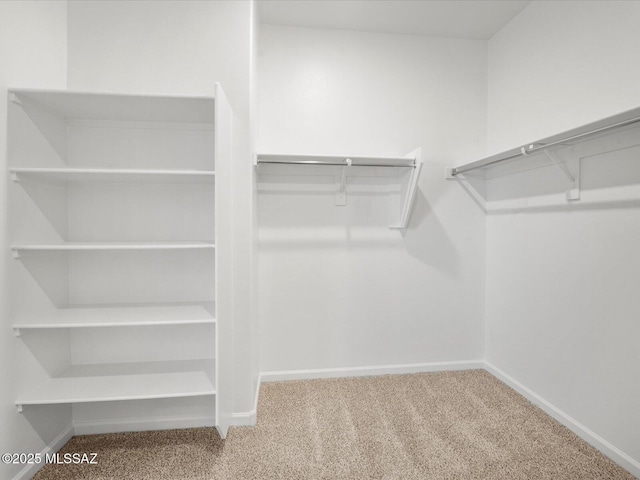 350 N Pecan Canyon Ln, Sahuarita, AZ 85629 - walk in closet with carpet
