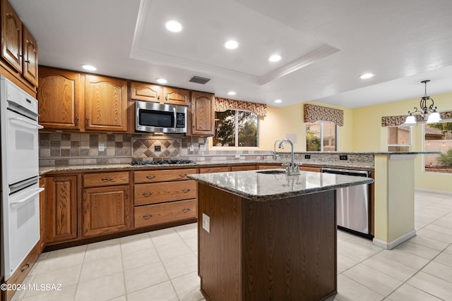 kitchen with a tray ceiling, a kitchen island with sink, and stainless steel appliances