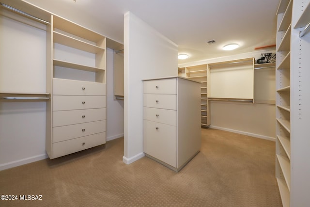 spacious closet with light colored carpet