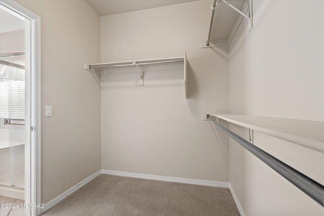 spacious closet with light carpet