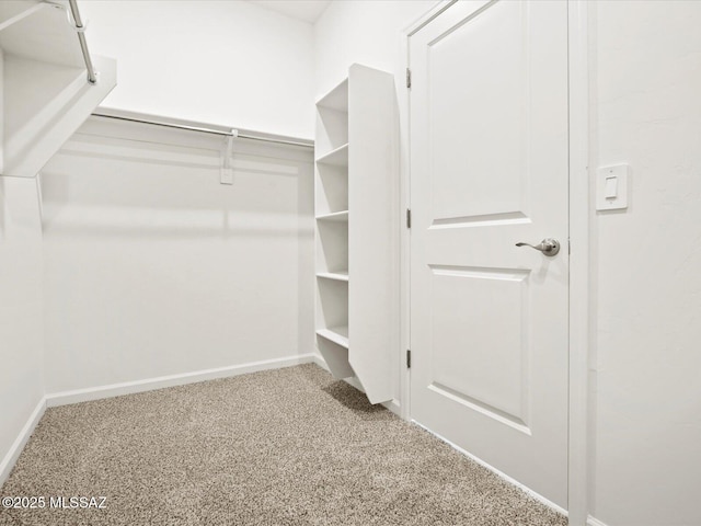 walk in closet featuring carpet floors