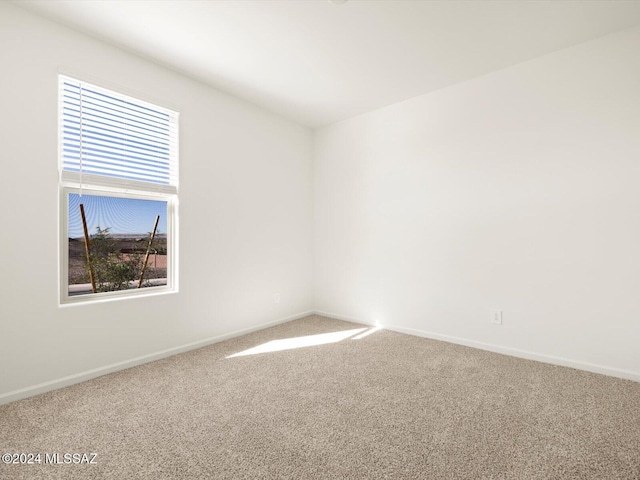 carpeted spare room featuring a wealth of natural light