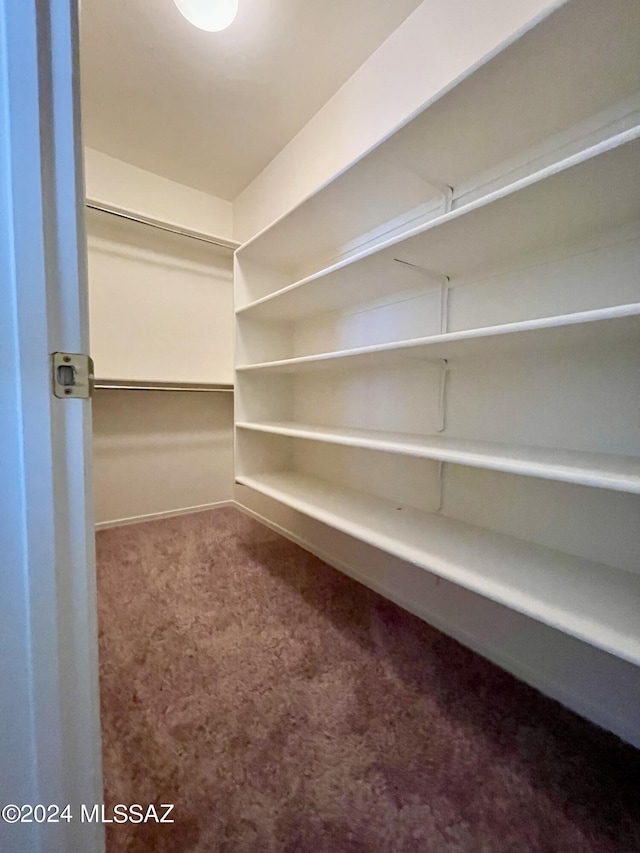 walk in closet with carpet flooring