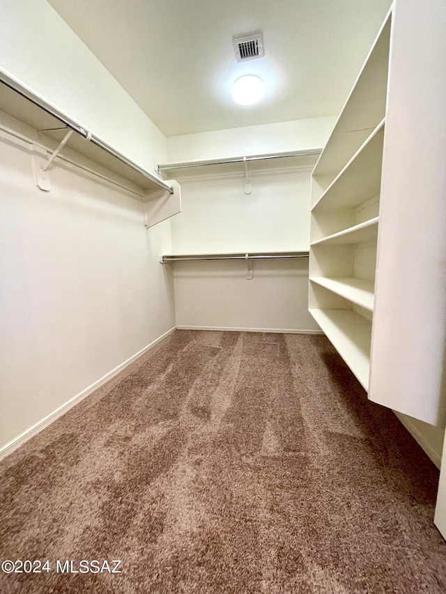 spacious closet with carpet flooring