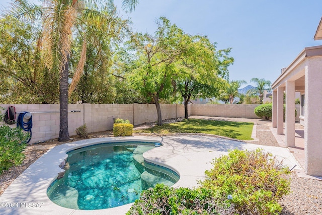 view of swimming pool featuring a patio area