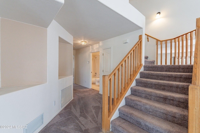 stairs with carpet flooring