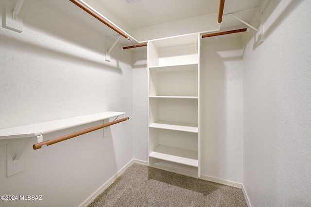 spacious closet with carpet