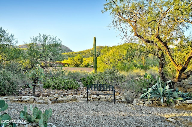 view of yard featuring a mountain view