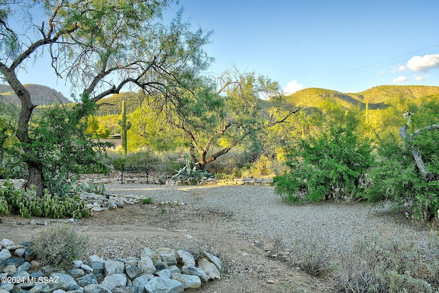 view of yard featuring a mountain view