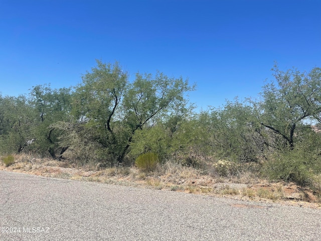 1041 Payaso Ct Unit 36, Rio Rico AZ, 85648 land for sale