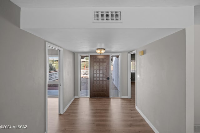 foyer featuring dark wood-type flooring