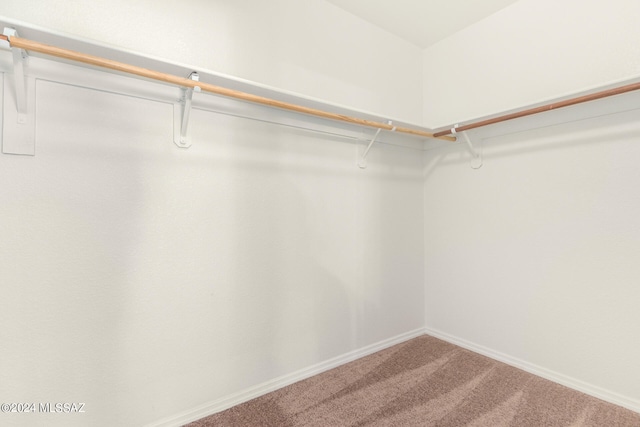 spacious closet with carpet floors