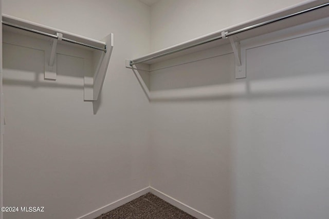 walk in closet featuring carpet flooring