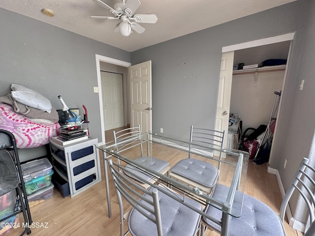 office with ceiling fan and light hardwood / wood-style flooring