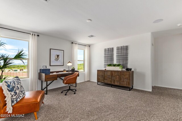 home office with carpet and a wealth of natural light