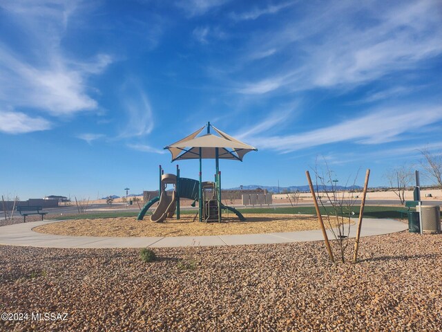 view of jungle gym