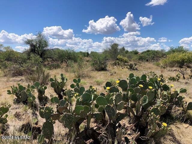 TBD S Camino Loma Alta Unit 1, Vail AZ, 85641 land for sale