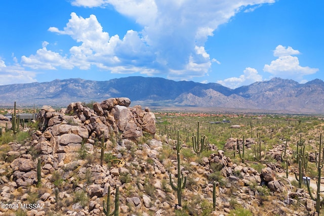 Listing photo 3 for 1751 W Tortolita Mountain Cir Unit 505, Oro Valley AZ 85755