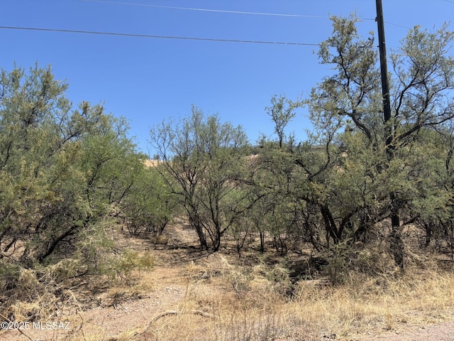338 Nuevo Leon Ct, Rio Rico, AZ 85648