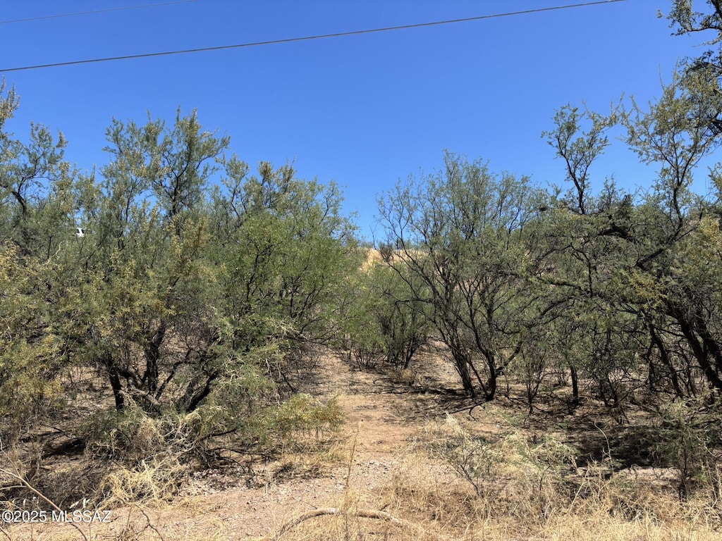 338 Nuevo Leon Ct, Rio Rico, AZ 85648