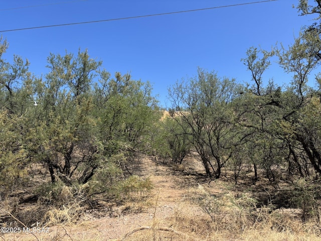 338 Nuevo Leon Ct, Rio Rico, AZ 85648