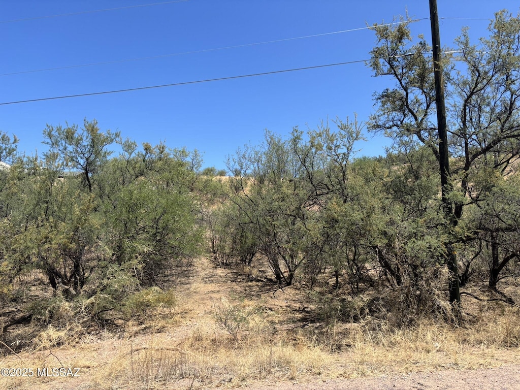 338 Nuevo Leon Ct, Rio Rico, AZ 85648