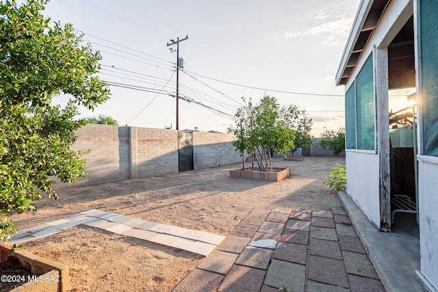 view of yard with a patio