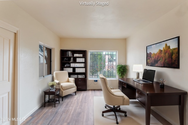 office featuring wood-type flooring