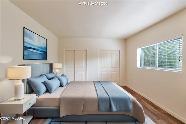 bedroom with two closets and hardwood / wood-style flooring