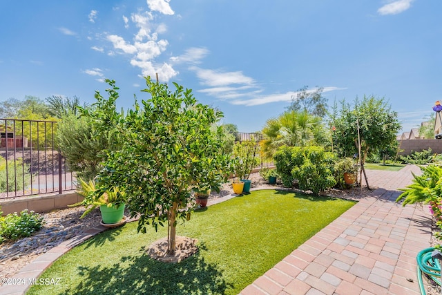 view of yard with a patio area