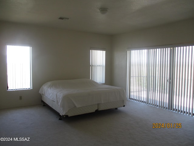 bedroom featuring carpet