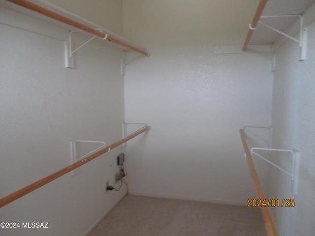 spacious closet featuring carpet flooring