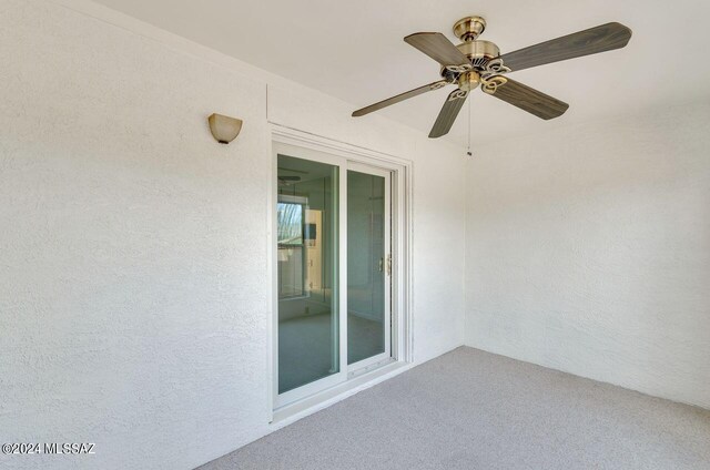 spacious closet featuring carpet