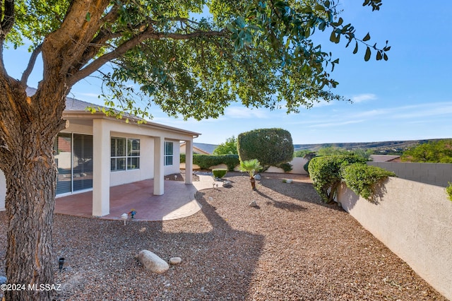 view of yard with a patio area and a fenced backyard