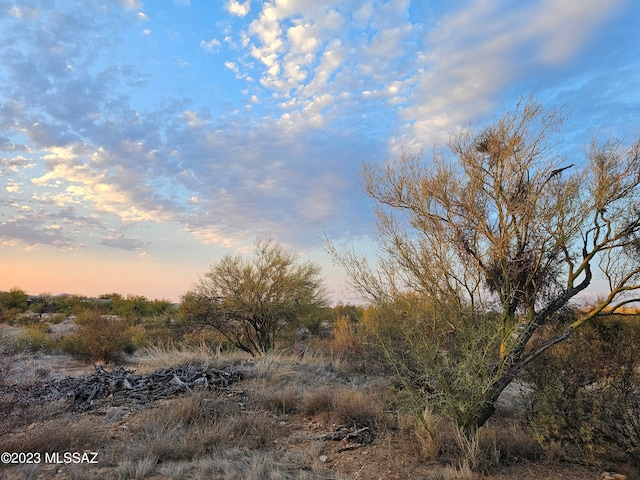 Listing photo 3 for 14060 Canelo Ave Unit 269, Tucson AZ 85736