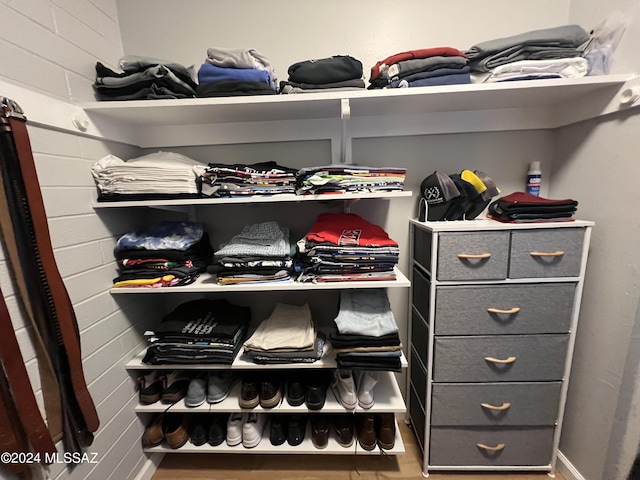 spacious closet featuring hardwood / wood-style floors